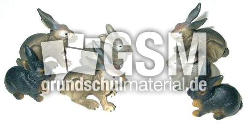 Hasen4+3.jpg